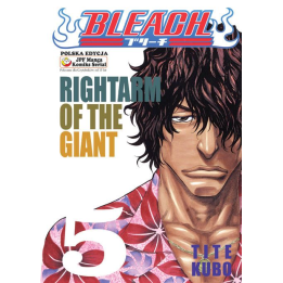 Bleach tom 5
